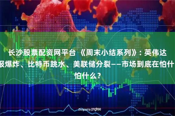 长沙股票配资网平台 《周末小结系列》: 英伟达季报爆炸、比特币跳水、美联储分裂——市场到底在怕什么?